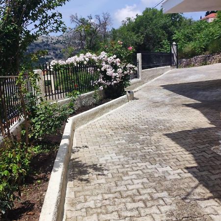 Fioravante Argostoli  Bagian luar foto