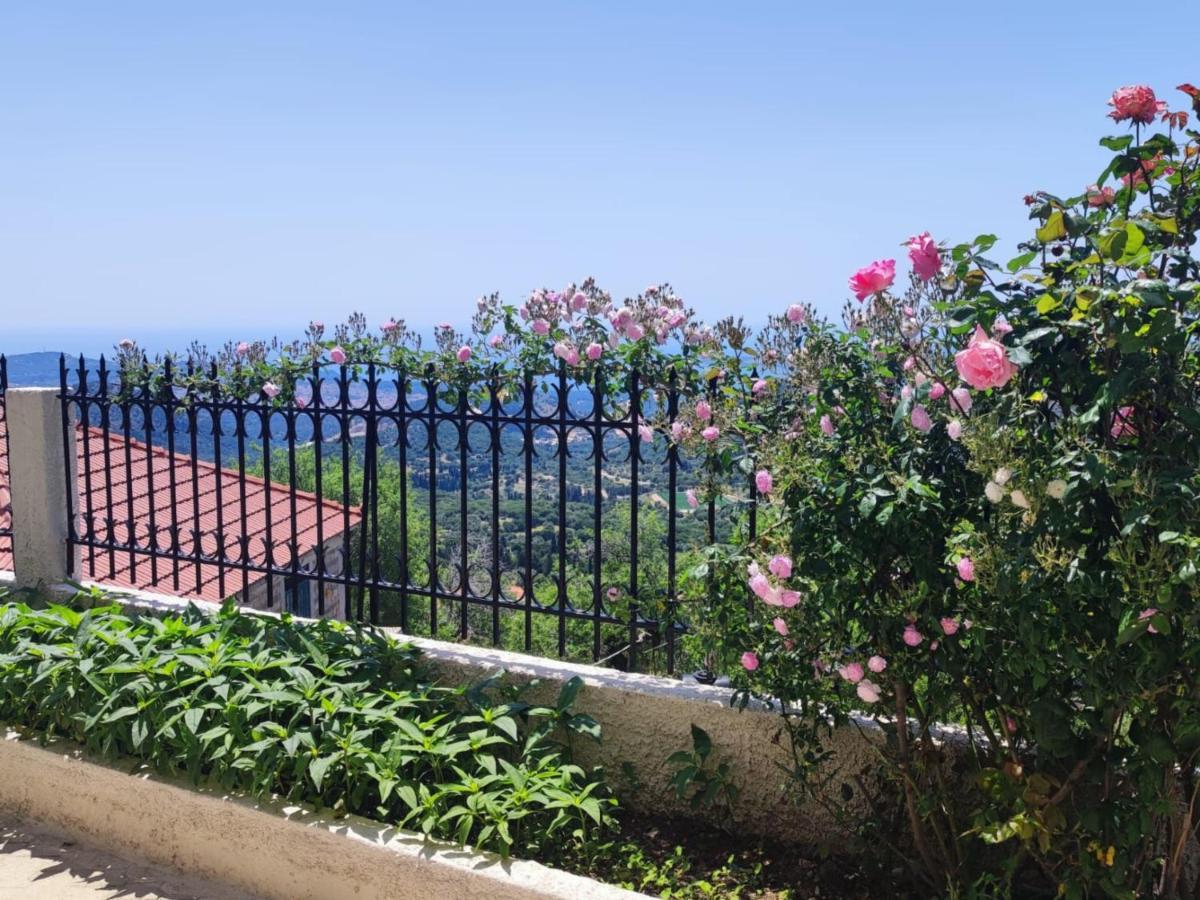 Fioravante Argostoli  Bagian luar foto